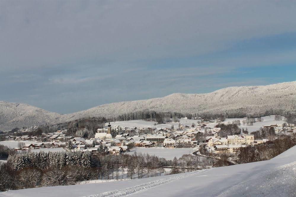 Falter Hotel 3*